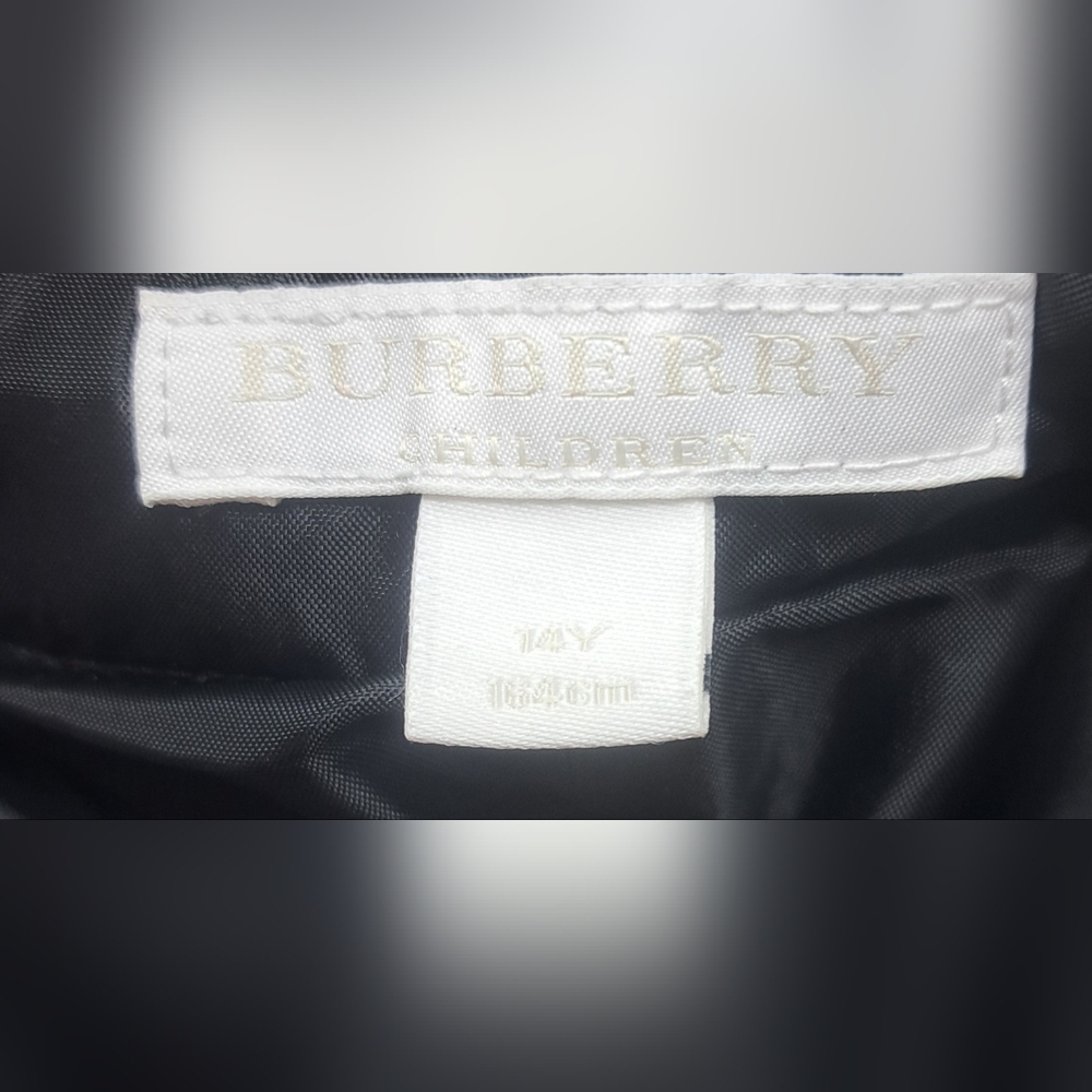 Burberry Children Boys Wool Dress Pants Red Tartan Plaid Winter Lined 14Y 29"W - Picture 4 of 16